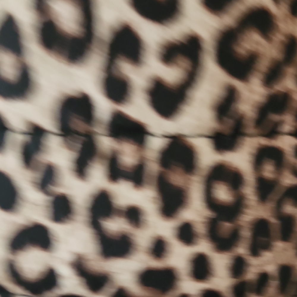 Leopard Print Sleeveless Vest - Picture 3 of 3